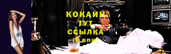 прущая мука Богородск