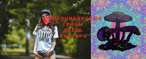 прущая мука Богородск